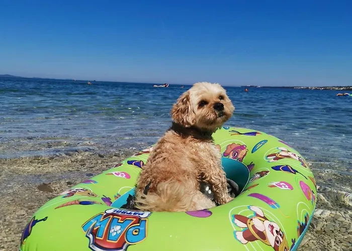 Apartament Lux Benak - Barbara Zadar